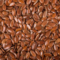 Flax Seeds Exporter