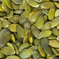 Pumpkin Seeds Exporter