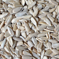 Sunflower Seeds Exporter