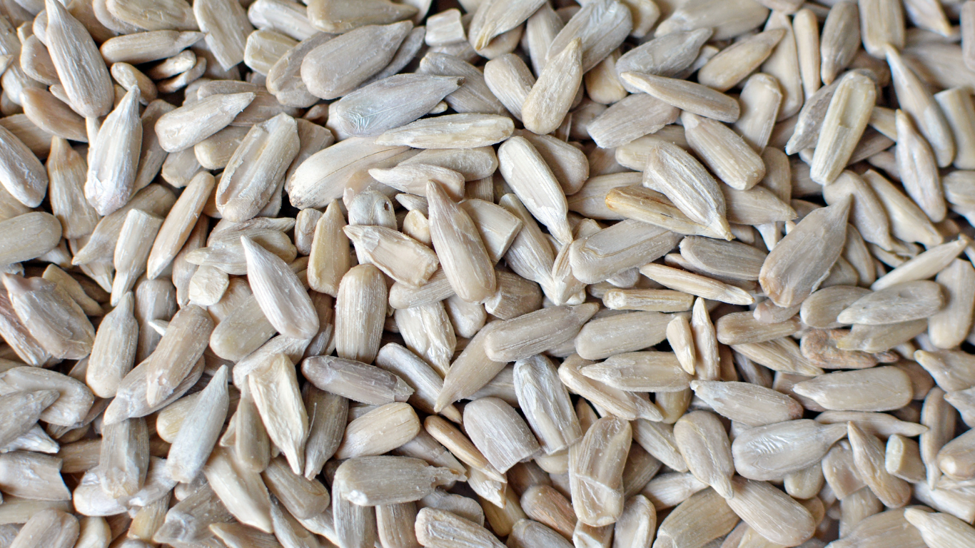Chia Seeds 250g