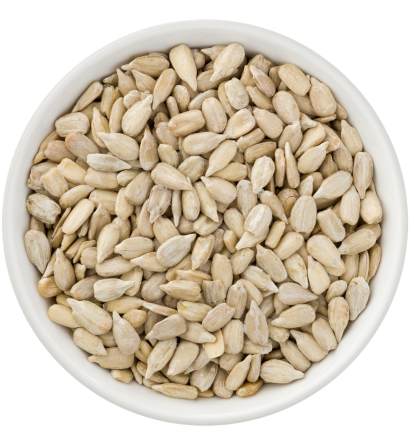Sunflower Seeds Exporter