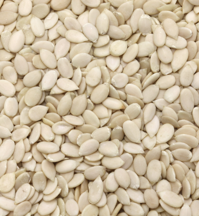 Watermelon Seeds Exporter